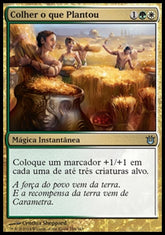 Colher o que Plantou / Reap What Is Sown - Magic: The Gathering - MoxLand
